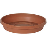 Bloem Terratray Trcot 12""