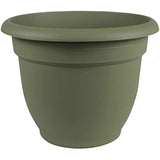 Bloem 20-56416 Planter, 16", Living Green