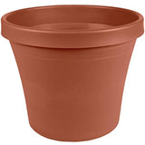 Bloem Terrapot 5.5 in. H x 6 in. Dia. Resin Traditional Terracotta Clay Planter