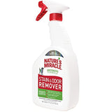 Stain and Odor Remover