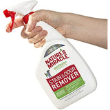 Stain and Odor Remover