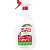 Stain and Odor Remover