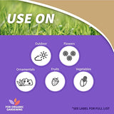 Bonide 775 Copper Fungicide Rtu Natural 1 Qt