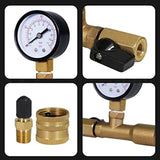 Supply Giant QUL 0-160 PSI Water Pressure Test Kit with Snifter Valve and Swivel Hose Connector, Brass