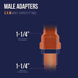 Supply Giant DDNA0125 Male Adapter Fitting with C X M Connections, 1-1/4, Copper