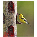 Stokes Select Jumbo Finch Feeder (Yellow/Red Assorted)
