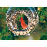 Stokes Select Clear Plastic Canteen-Style Bird Feeder with Two Perches, 5 Pound Seed Capacity