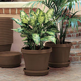 Bloem Terra Pot Planter 20" Living Green