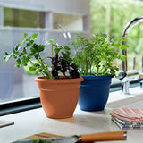 Bloem 20-56110 Fiskars Ariana Planter with Self-Watering Grid, 10"