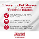 Stain and Odor Remover