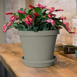Bloem Terra Pot Planter (TR1283), Pebble Stone, 12"