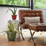 Bloem 20-56416 Planter, 16", Living Green