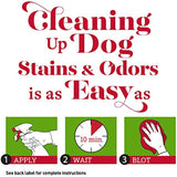 Stain and Odor Remover
