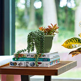 Bloem 20-56416 Planter, 16", Living Green