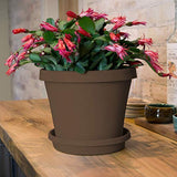 Bloem Terra Pot Planter 20" Living Green