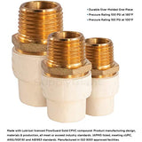 Supply Giant CSDQN056 Male x PVC Adapter Transition Pipe Fitting Durable Over Molded One-Piece Design 3/4 in. Lead Free Brass