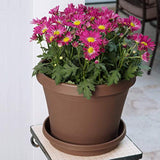 Bloem Terra Pot Planter 20" Living Green