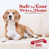 Stain and Odor Remover