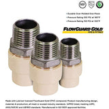 Supply Giant TTDQN336 Male x CPVC Adapter Transition Pipe Fitting; Durable Over Molded One-Piece Design; 1-1/4 in.; Lead Free Stainless Steel