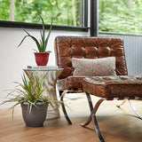 Bloem AP1626 Ariana Self Watering Planter 16", Bermuda Teal Green