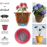 Bloem AP1626 Ariana Self Watering Planter 16", Bermuda Teal Green