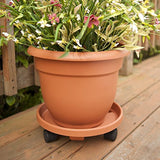 Bloem 20-56106 Fiskars Ariana with Self-Watering Grid, 6", Terra Cotta