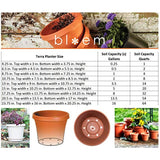 Bloem 50008C Fiskars TerraPot Planter, 8", Terracotta