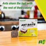 RESCUE! Ant Baits – Indoor Ant Killer, Ant Trap Alternative - 6 Bait Stations