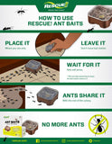 RESCUE! Ant Baits – Indoor Ant Killer, Ant Trap Alternative - 6 Bait Stations