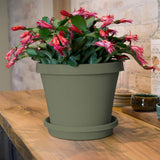 Bloem Terra Pot Planter 8" Living Green