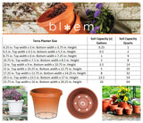 Bloem Terra Pot Planter 8" Living Green