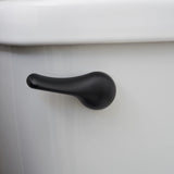 Qualihome Toilet Handle Replacement (Black, Front Mount)