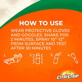 CITRISTRIP® Paint and Varnish Stripper, 17 Oz.