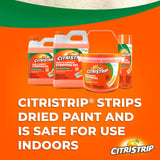 CITRISTRIP® Paint and Varnish Stripper, 17 Oz.