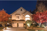 Satco Nuvo 65/538 LED Large Flood Light,Bronze
