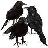 Black Feathered Small Halloween Crows - 3 Pc Black Birds