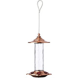 More Birds Glory Hummingbird Feeder, Glass Hummingbird Feeders for Outdoors, 5 Feeding Stations, 13 Ounces