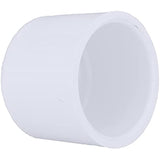 CHARLOTTE PIPE 1 1/4 SCH 40 CAP SOCKET PRESSURE ( 1 Unit Piece )