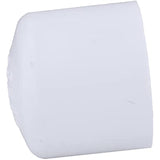 CHARLOTTE PIPE 1 1/4 SCH 40 CAP SOCKET PRESSURE ( 1 Unit Piece )