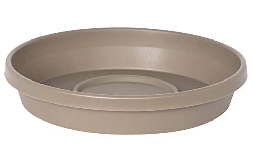 Bloem Terra Plant Saucer Tray for Planters 3-6