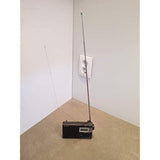 Sony ICF-M260 AM/FM PLL Synthesized Clock Radio with Digital Tuning & Alarm