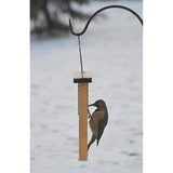 Nature's Way Bird Products CWF1 Tail-prop Suet Bird Feeder 12"H x 7.875"L x 3"W, Brown