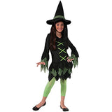 Rubies Lime Witch Costume, Large