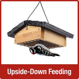 Nature's Way Bird Products CWF2 Cedar Suet Upside-Down Bird Feeder