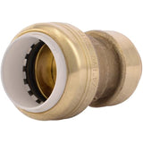 SharkBite 3/4 Inch CTS x 3/4 Inch PVC Transition Coupling, Push to Connect Brass Plumbing Fitting, PEX Pipe, Copper, CPVC, PE-RT, HDPE, UIP4016A