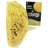 The Natural Sea Sponge, 7 to 8-Inch, Wool