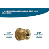 Supply Giant CSSD1002 1 x 3/4 Inch Lead Free Reducing Coupling with Female National Pipe Taper Threaded Ends, Brass Construction, Higher Corrosion Resistance, Economical & Easy to Install, 20