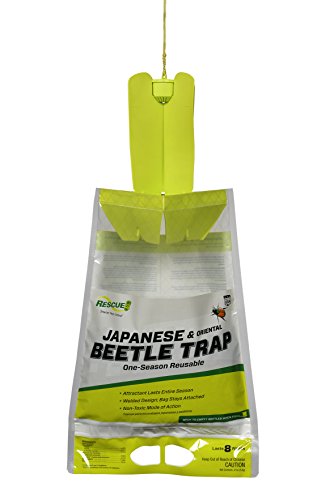 RESCUE! Japanese Beetle Trap – Reusable Bag Single bag