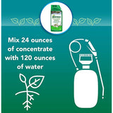 Natria 706500A Grass & Weed Control with Root Kill Herbicide Weed Killer, 32-Ounce, Concentrate