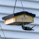 Nature's Way Bird Products CWF2 Cedar Suet Upside-Down Bird Feeder